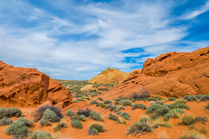 AdobeStock_78138051